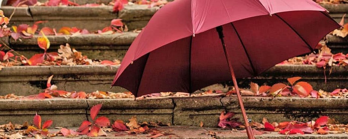 Roter Regenschirm vor Treppe mit Laub