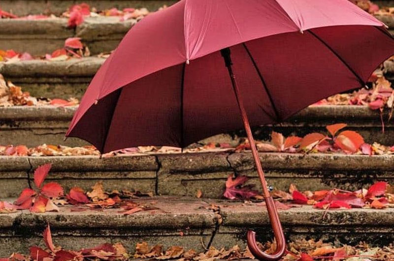 Roter Regenschirm vor Treppe mit Laub