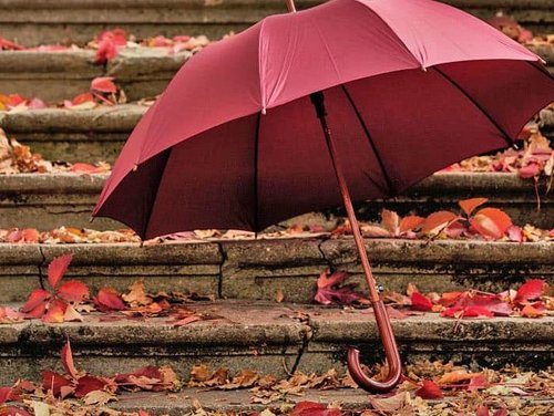 Roter Regenschirm vor Treppe mit Laub
